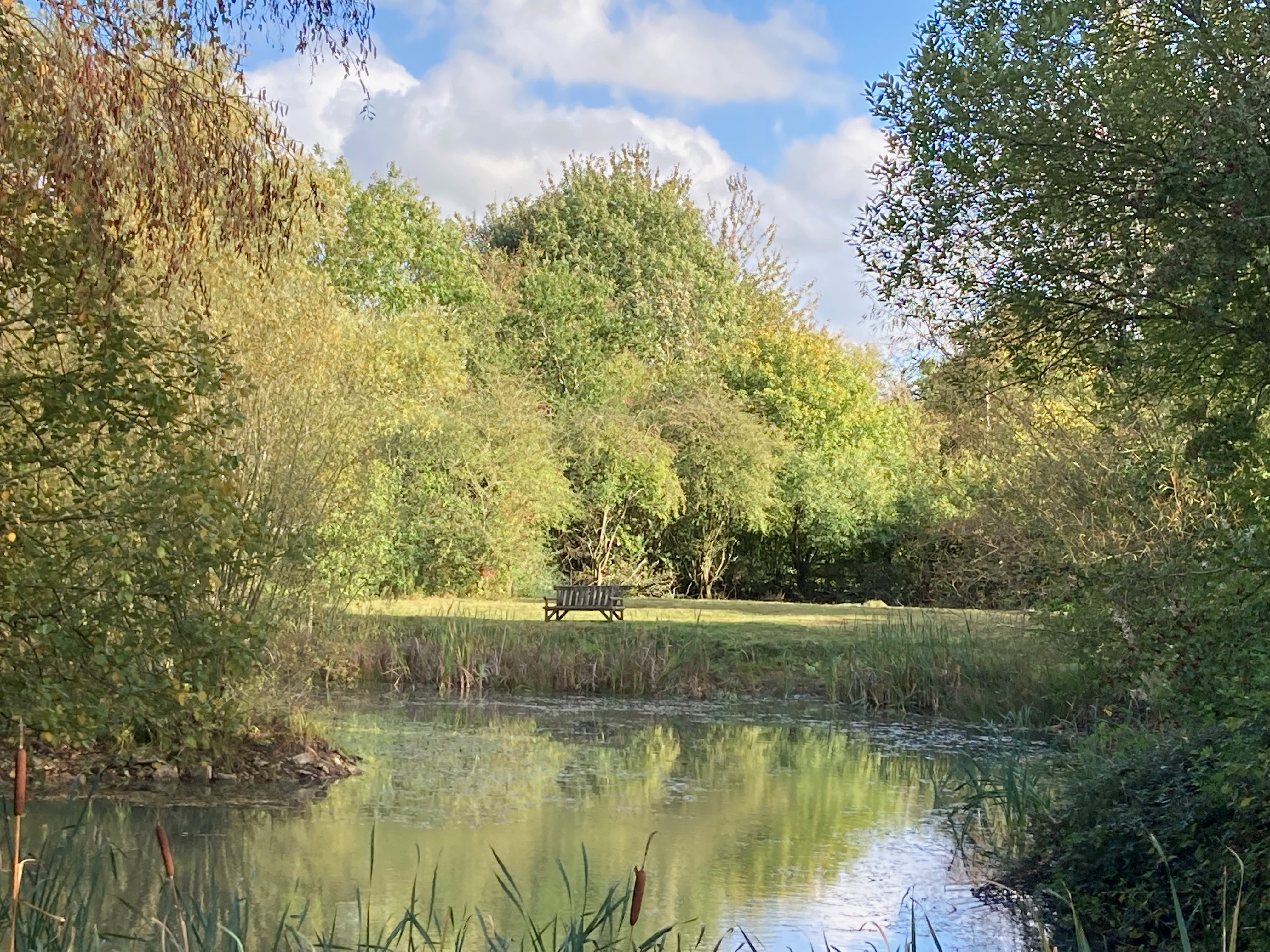 Corston Quarry and Pond Local Nature Reserve